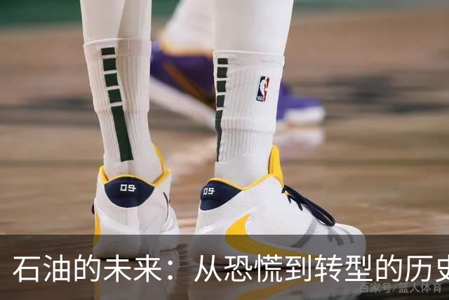 石油的未来：从恐慌到转型的历史教训